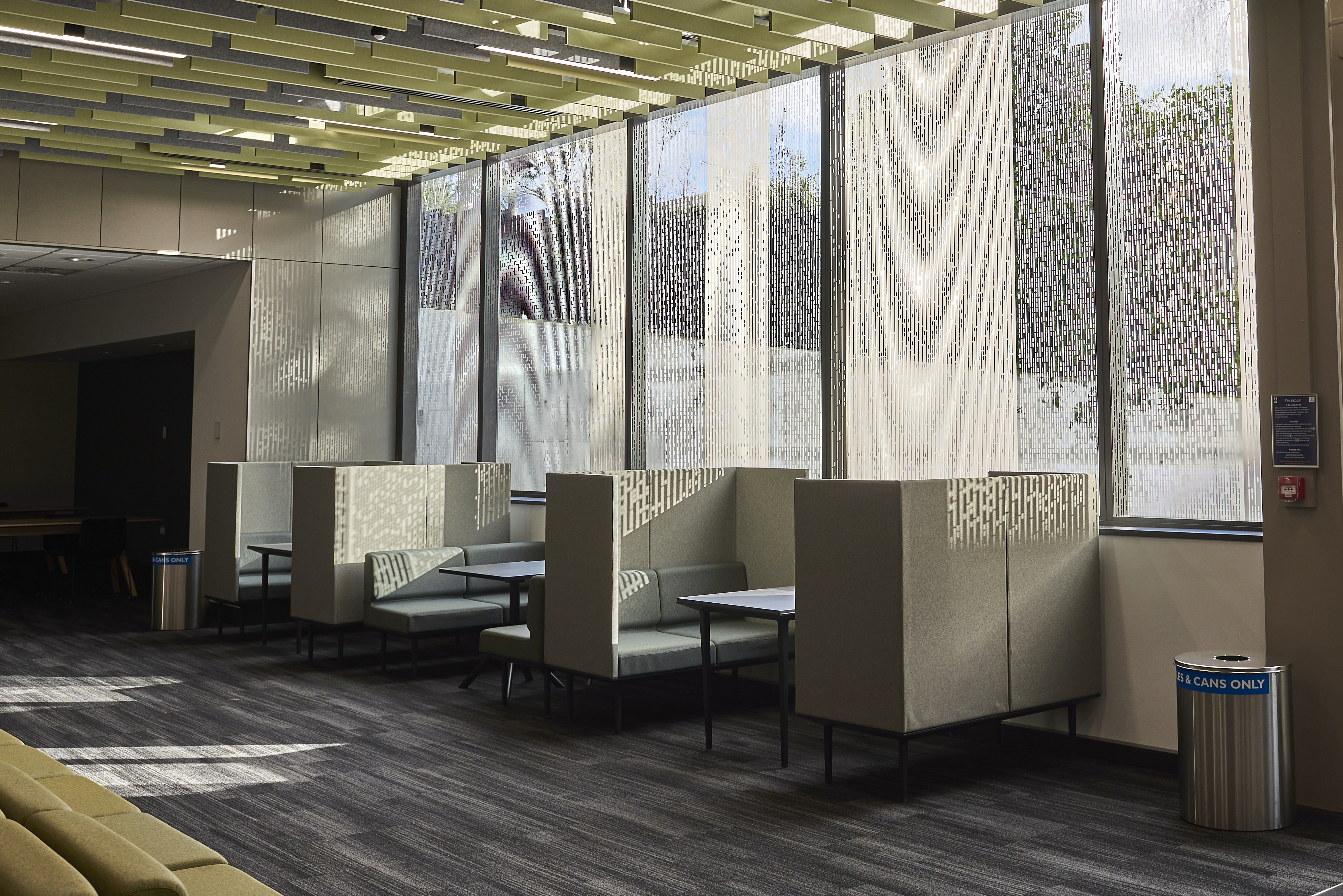 A Window To Our Wellbeing